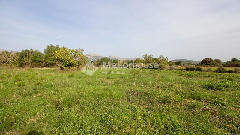 Foto 47285d83-2bb5-4c7b-8843-f3471a23dad8. Masia a Búger