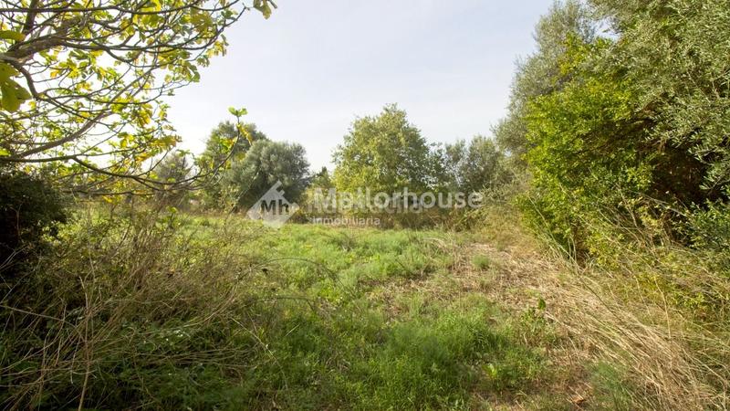 Foto fb01f473-77cc-4b35-bc80-7071e56a0c64. Masia a Búger