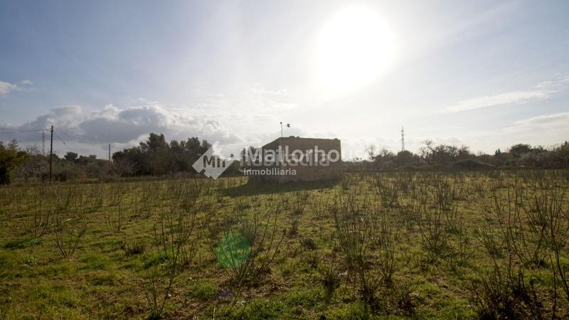 Foto b1832783-ba41-407b-bece-fc33e857d654. Bauernhof mit parking in Búger