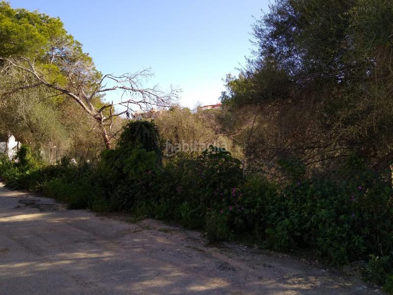 Foto 5a4d320c-e8f3-4839-b175-9da3ca87c2ed. Terrain résidentiel dans Cala Llombards Santanyí