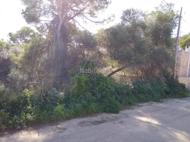 Foto 488ea762-31ab-4033-bdc9-911baaf6b417. Terreno residenziale in Cala Llombards Santanyí