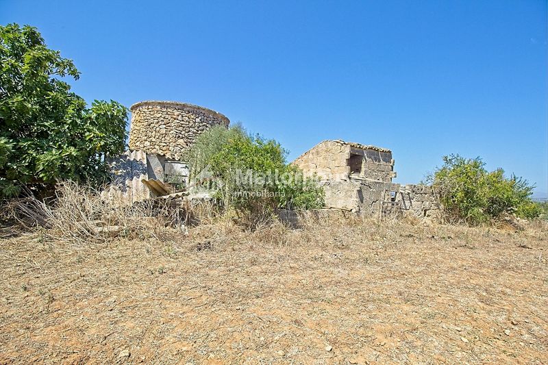 Foto 15ed4843-e7c3-4b89-9a88-826dd635cb59. Casale con parcheggio in Muro