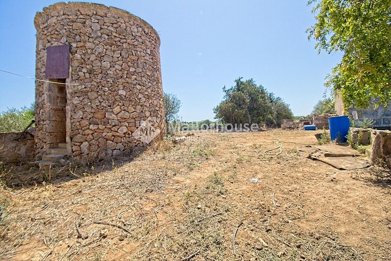 Foto 51de9eea-2a2c-4a8a-9616-023757626621. Casale con parcheggio in Muro