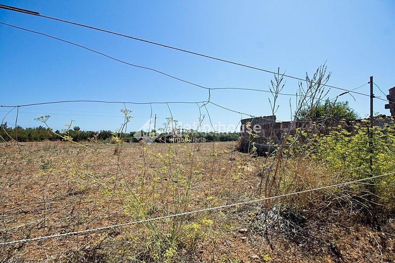 Foto a927bb36-b1c3-4874-a29a-f5d14b77d86f. Casale con parcheggio in Muro