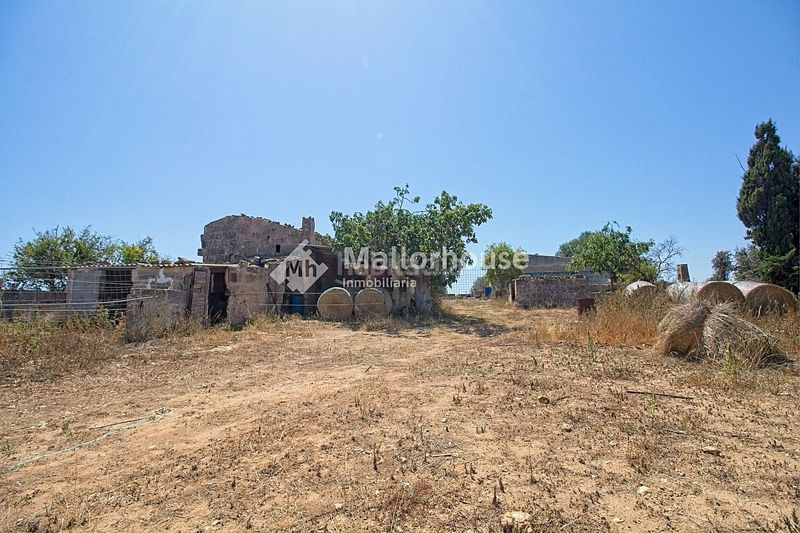 Foto afa591f0-8d0d-418c-a4b8-9e1ff32e5ac9. Casale con parcheggio in Muro