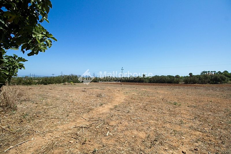 Foto b1a54503-db1e-4fee-84e4-2b9ddca4f703. Casale con parcheggio in Muro