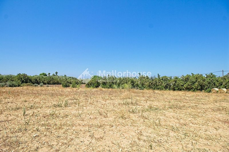 Foto b1cf6c65-1df6-4393-bbda-189d3030be23. Casale con parcheggio in Muro
