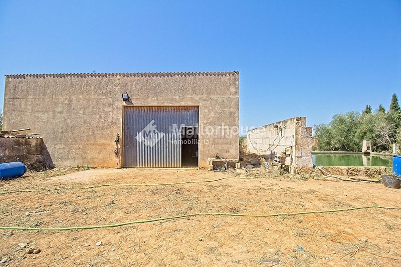 Foto c99af8a6-8a9c-4eb9-9348-b97078bc8f08. Casale con parcheggio in Muro