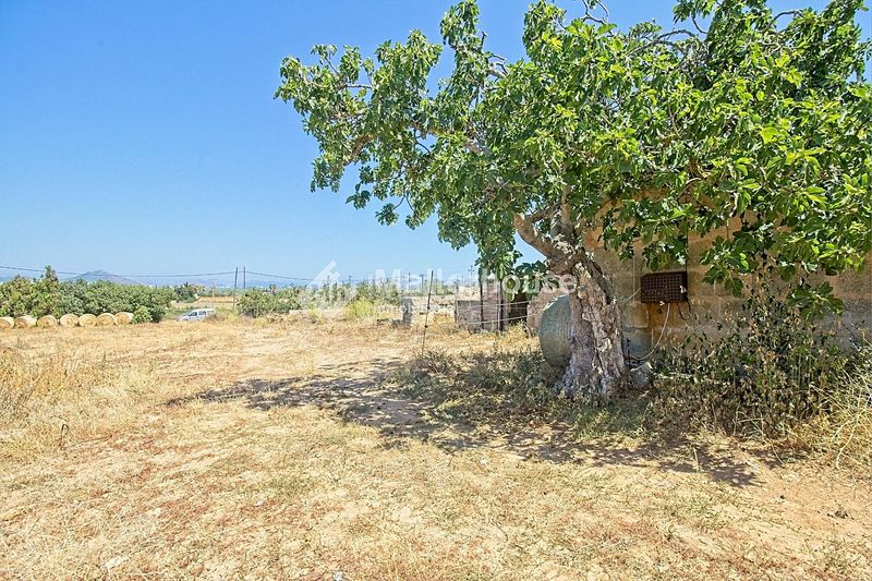 Foto e214a4b2-a629-4247-8e18-12729e66709c. Casale con parcheggio in Muro