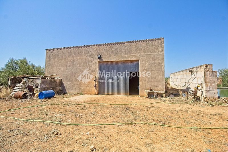 Foto eef6cca9-1b4d-4411-8c03-73252c405731. Casale con parcheggio in Muro