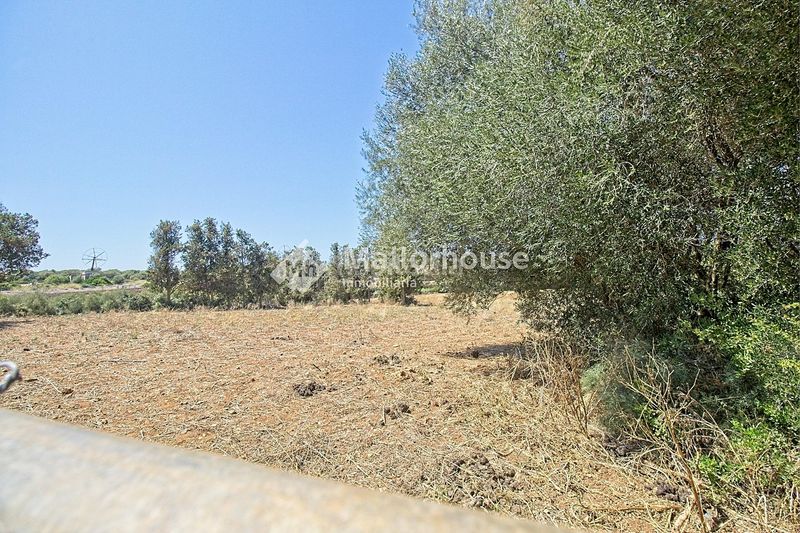 Foto fb6b2c09-e6e5-4531-b684-b6161dd03467. Casale con parcheggio in Muro