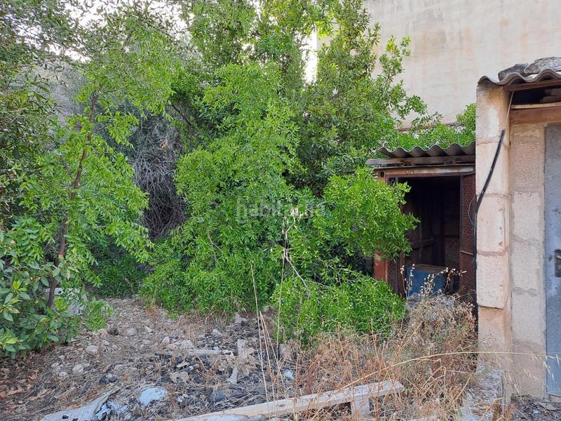 Foto 53eccccf-0ca1-4850-b8a8-3ec95d4aeaa9. Nave industrial en Sa Pobla