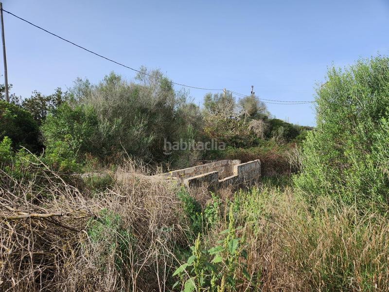 Foto 4d89d43a-1bf1-4b43-b775-8d70c9fc494a. Masía en Muro