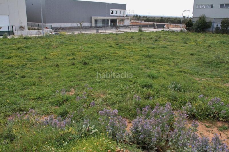 Foto 0d826f1b-6160-4c4d-919f-1d181214bbcb. Terreny residencial a ciutat d´Alcúdia Alcúdia