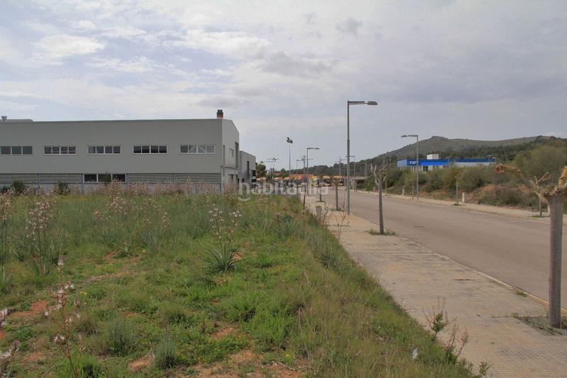 Foto 2379adeb-f011-4b9b-9f2a-2d3cb58881d6. Terreny residencial a ciutat d´Alcúdia Alcúdia