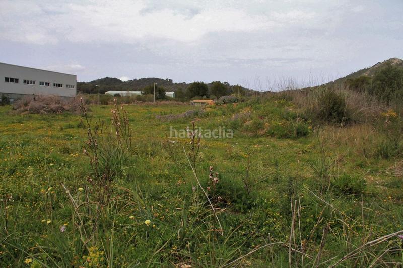 Foto 34a592f2-3dc2-4d97-b2cb-9269a2bf0067. Terreny residencial a ciutat d´Alcúdia Alcúdia