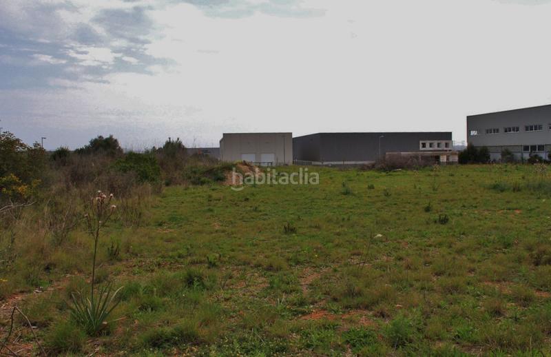 Foto 4de7ebad-7f59-48cf-a70e-76378250bf02. Terreny residencial a ciutat d´Alcúdia Alcúdia