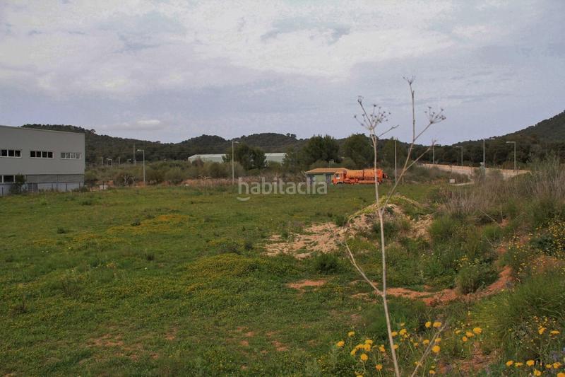 Foto 782dfac4-9969-4728-8cd6-b4a815580ef1. Terreny residencial a ciutat d´Alcúdia Alcúdia