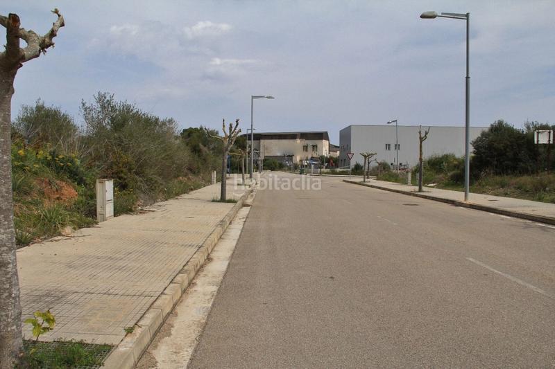 Foto b11bf808-9ac8-4861-8db2-33b9596ff8e9. Terreny residencial a ciutat d´Alcúdia Alcúdia