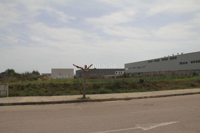Foto f4772fc9-717f-46df-ae9a-b16c8fbccce7. Terreny residencial a ciutat d´Alcúdia Alcúdia