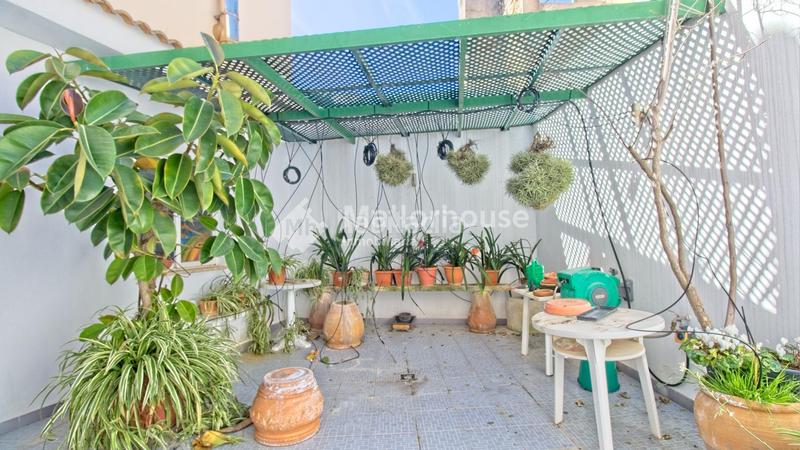 Foto e5ae9623-55a3-4b63-9d73-920a448daa21. Affitto appartamento con riscaldamento in Santa Margalida poble Santa Margalida