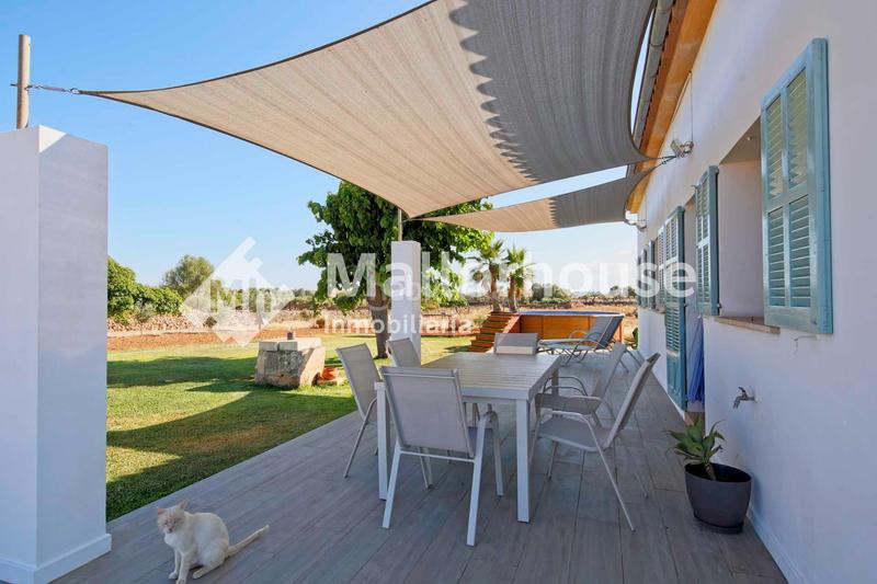 Foto 5dfb03c5-25ac-494e-9036-2e6caa5dda3f. Rent chalet with pool in Santa Margalida poble Santa Margalida