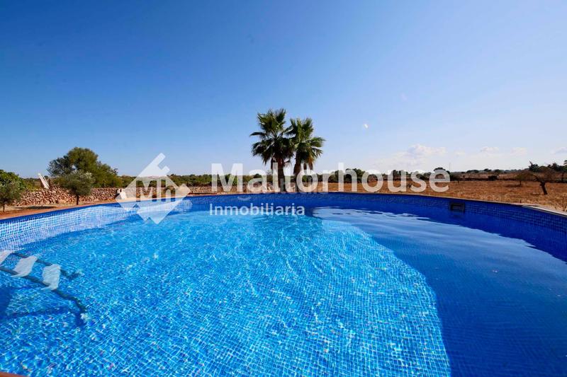 Foto 2ccdfd65-4a83-4c3e-9f43-797997e637b5. Lloguer xalet amb piscina a Santa Margalida poble Santa Margalida