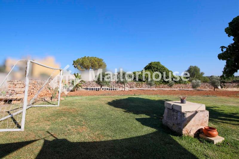 Foto 53e25a0e-b966-4348-b6c1-410f8bfb2ad6. Lloguer xalet amb piscina a Santa Margalida poble Santa Margalida