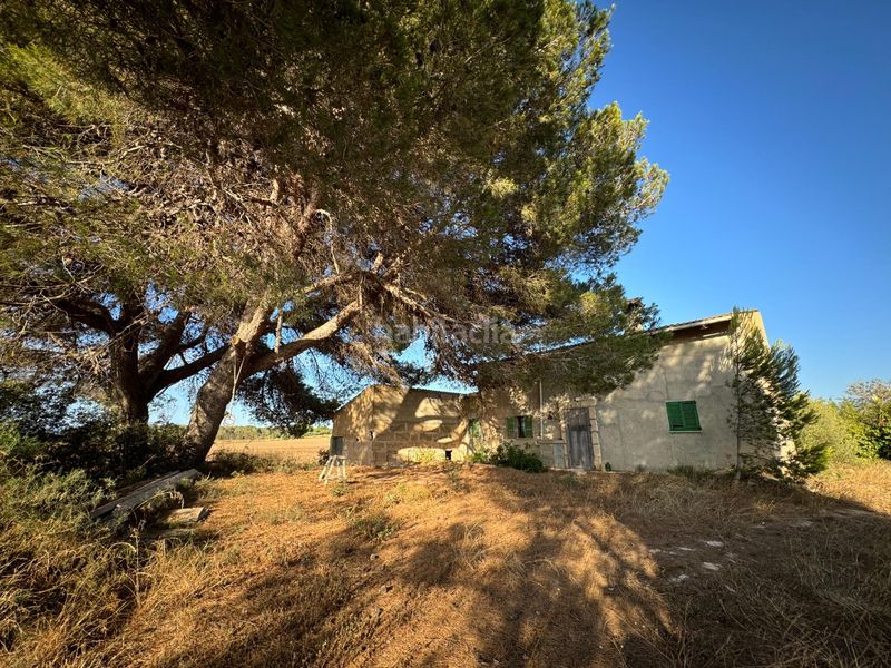 Foto 12ab94a3-271a-4d04-8b72-c65c07ce3631. Casale in Muro