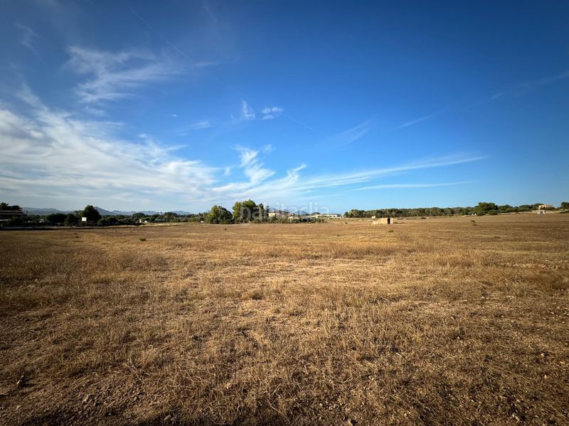 Foto 4fad9fff-ea49-4a05-983c-3f6648cfb06a. Casale in Muro