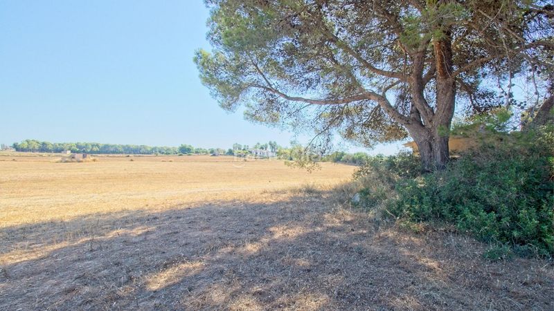 Foto 9e2d8234-f0b3-4b98-9b0f-04184774e3b0. Casale in Muro