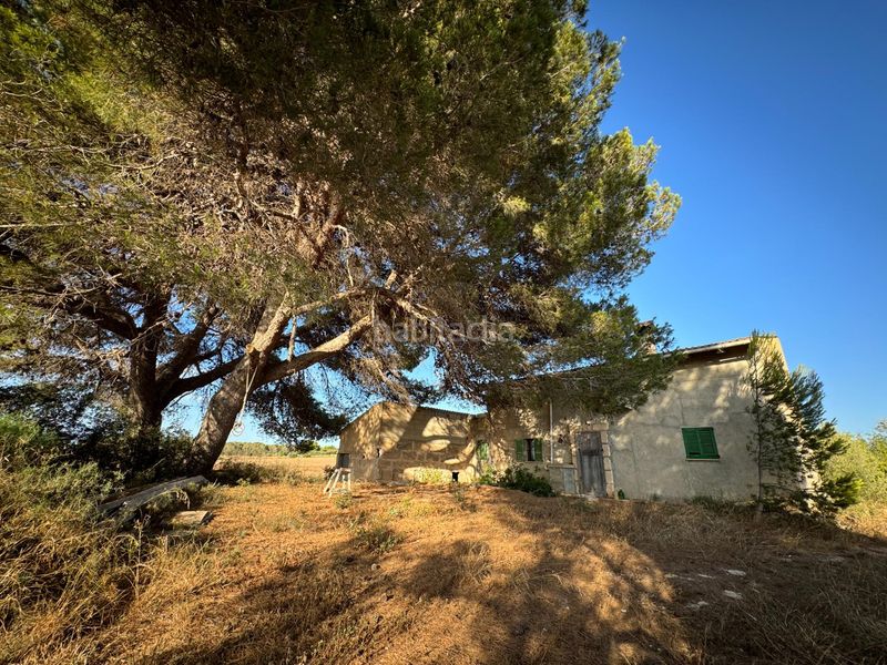 Foto f9abccc7-08a7-4026-bcc9-e24d257bf008. Casale in Muro