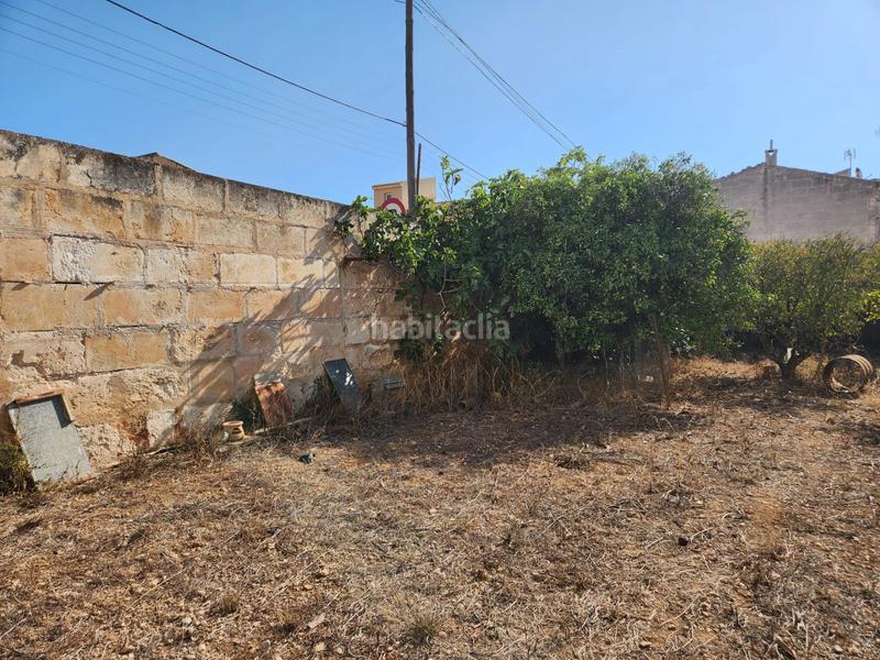 Foto 035cd752-8e0b-4a46-86fe-cd8e23a748ea. Terreno residencial en Muro