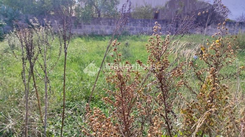 Foto 44b5e053-eb02-4deb-a119-f580c21d2756. Terreno residencial en Muro