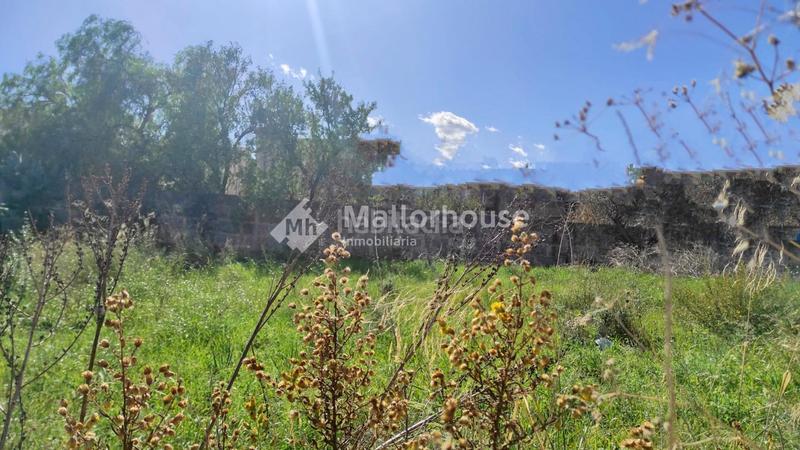 Foto 5a83fbca-0ea5-40fc-ac04-d18e8dd67497. Terreno residencial en Muro