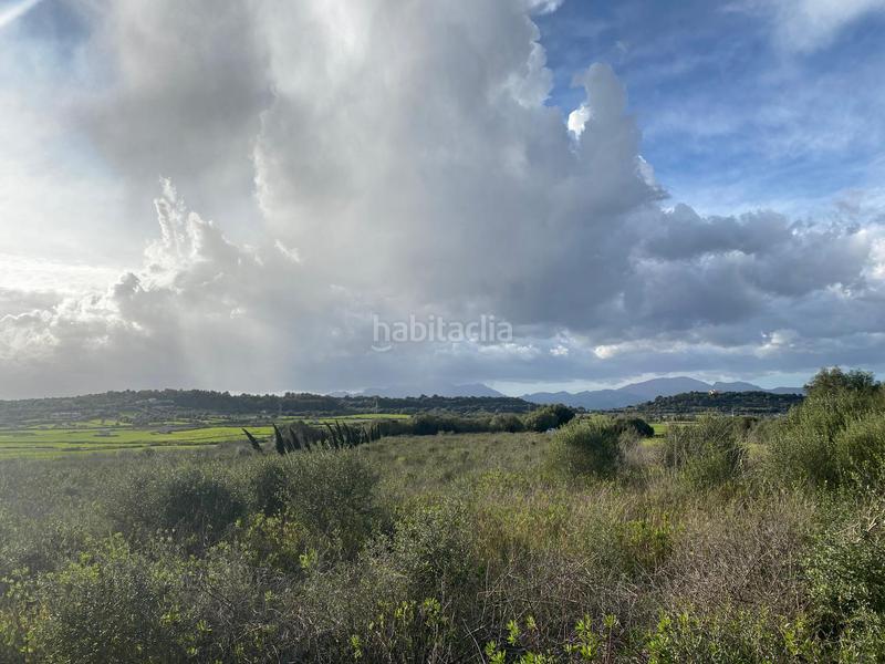 Foto 68934b71-ea3b-4977-be29-ac2bf7e43a19. Terreno residencial en Muro