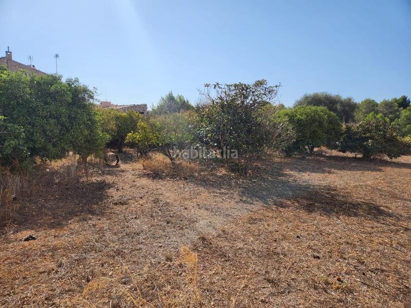 Foto d0e1418d-392c-47c9-98b8-4ecf60ee4cd7. Terreno residencial en Muro