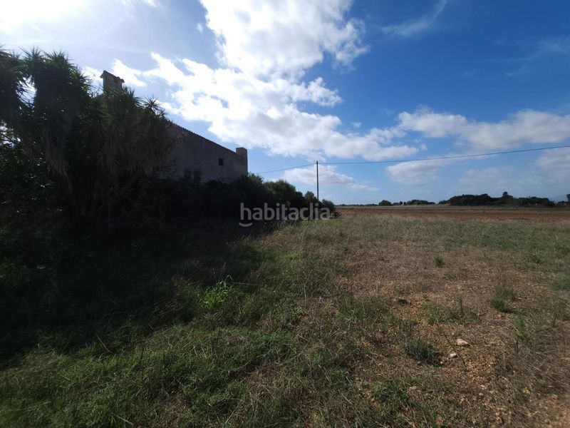 Foto ca93d098-a8e5-404f-8383-05b29d9acdca. Country house with parking in Muro