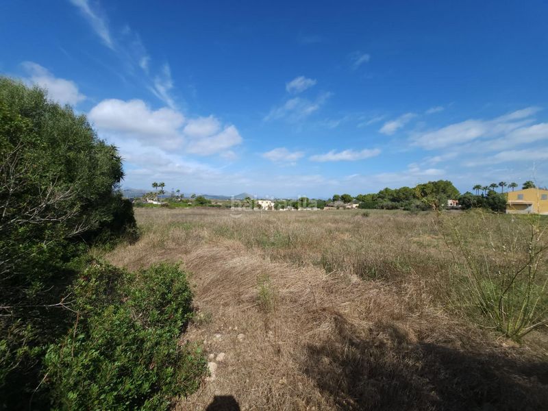 Foto d5d5cfa0-8a5f-4dd3-8545-78dc217db0c1. Country house with parking in Muro
