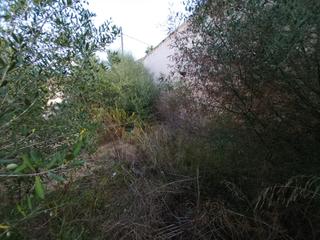 Residential Plot in Muro