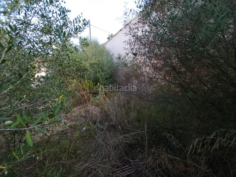 Foto 02748fef-76d7-4dfd-99fe-f493c206440c. Terrain résidentiel dans Muro