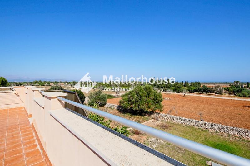 Foto dcd65039-c033-498e-81ff-258680b3fcde. Alquiler casa alquiler temporal en Santa Margalida poble Santa Margalida