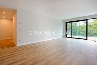 Attique  Ra de canido