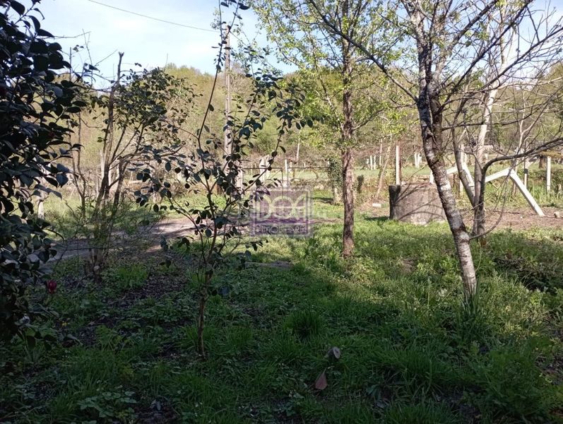 Foto 97a86c48-e1e3-41ba-b7d5-b411b0673789. Finca rústica a Mondariz