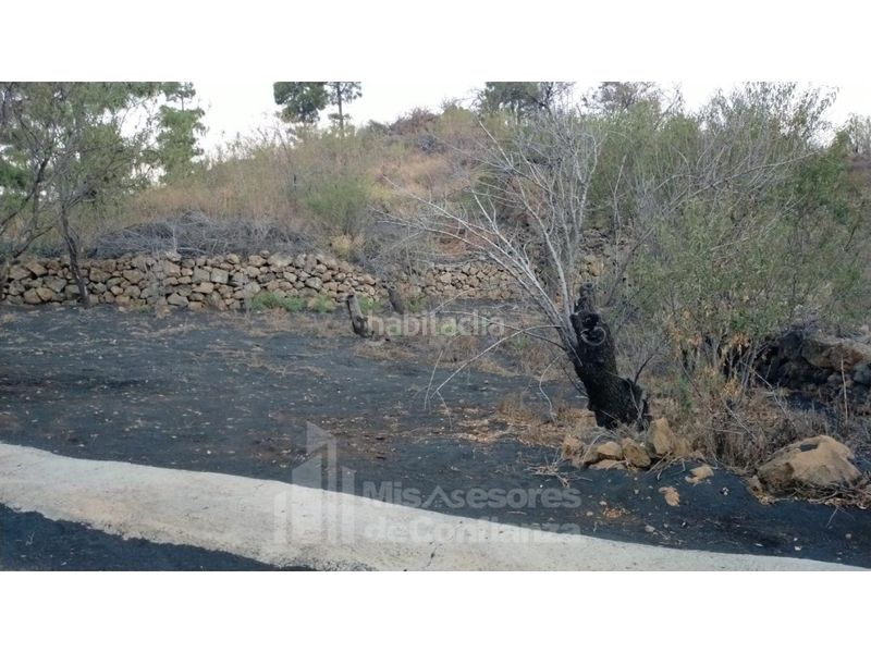 Foto 1972b561-488d-4cd2-83e5-97e8d3e44d2b. Terreny residencial a Paso (El)
