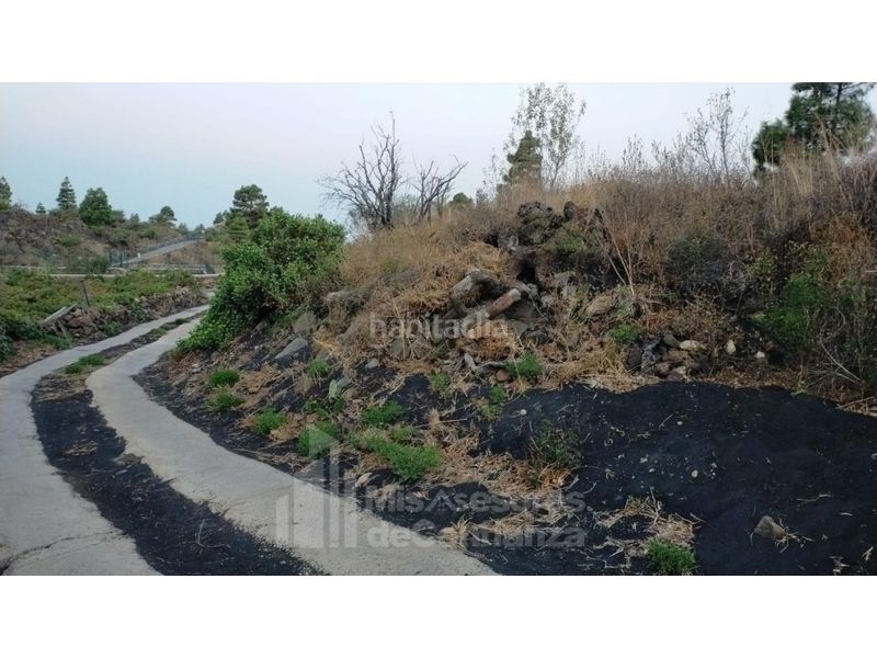 Foto 2b88165a-db3f-4ab1-a9f6-b304c4376430. Terreny residencial a Paso (El)