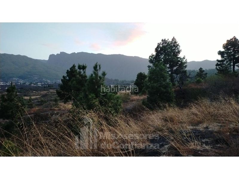 Foto 661ab675-049d-4433-8186-d1080b8c2559. Terreny residencial a Paso (El)