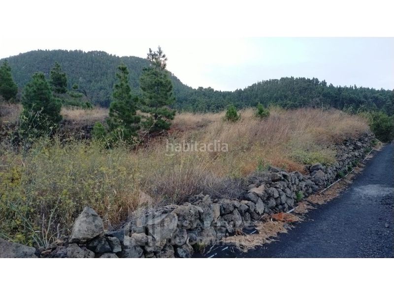 Foto 6b4ef0cc-13c2-470e-8ccc-c16b67ab2180. Terreny residencial a Paso (El)