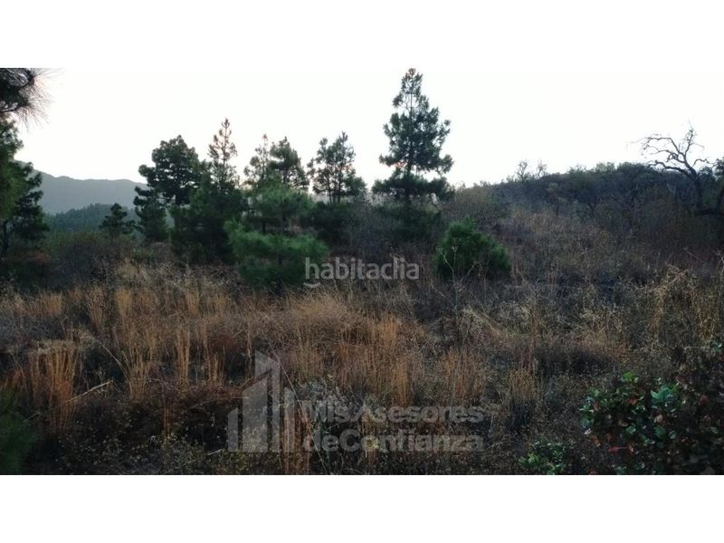 Foto acb1ec34-a459-48d0-8de9-7171cc07aa7c. Terreny residencial a Paso (El)