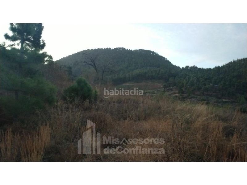Foto bae3dd54-d646-4606-a9c7-8c2653f1a116. Terreny residencial a Paso (El)